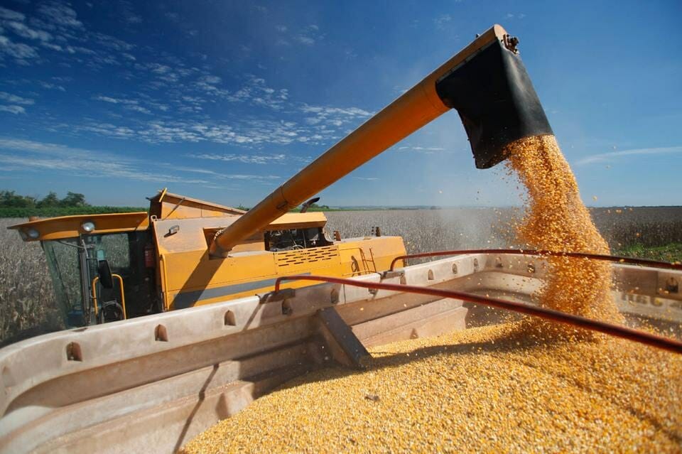 Exportação de grãos por contêiner cresce 90%