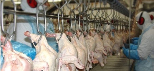 Novos frigoríficos do Brasil são autorizados a exportar frango e suíno para Singapura