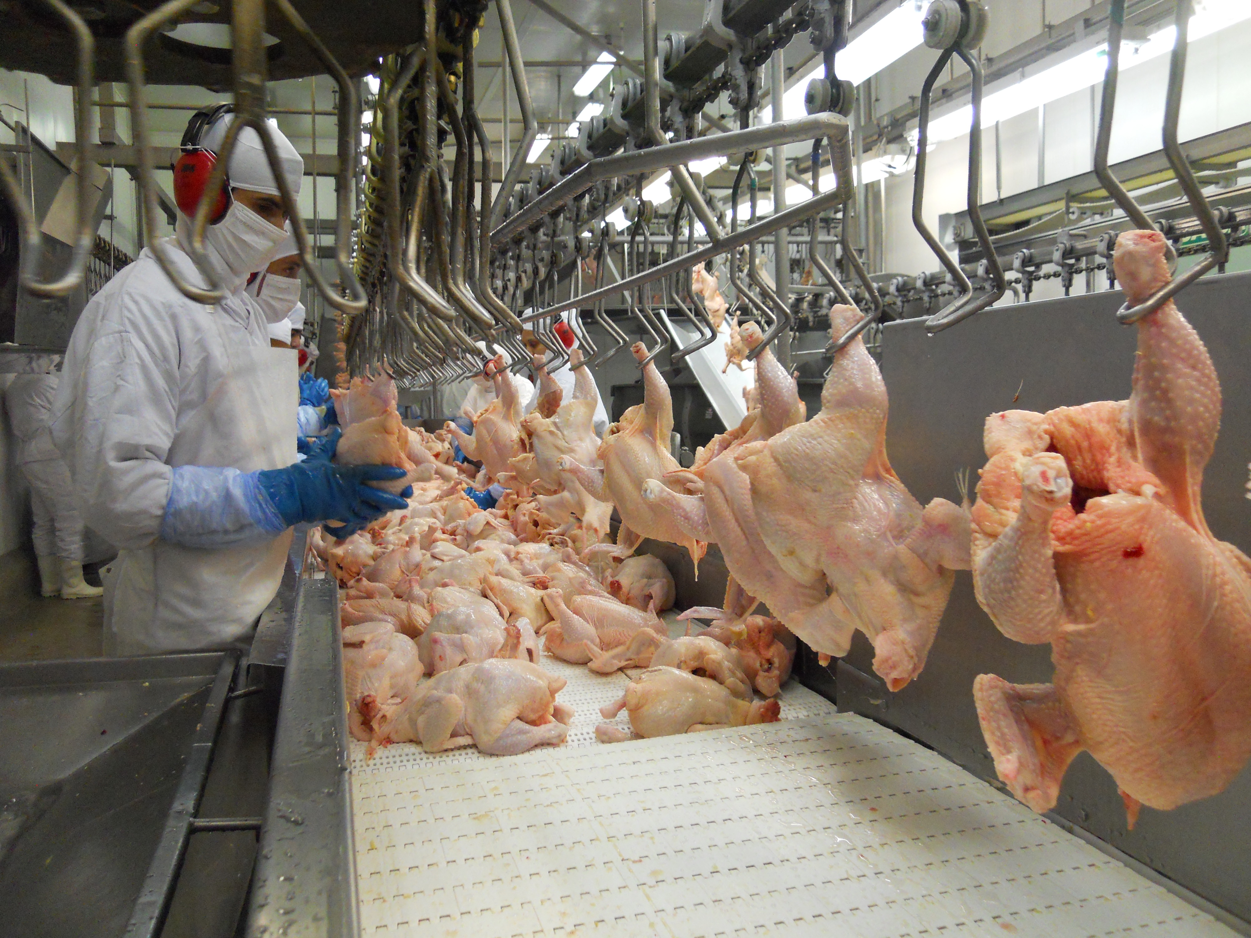 Receita com exportação de carne de frango cresce 9% no ano até maio