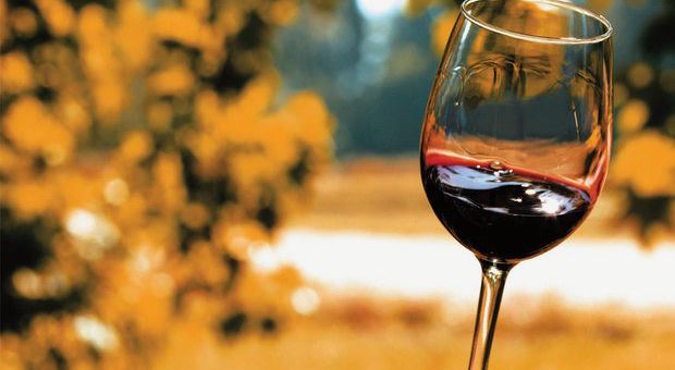 Vinícolas do RS celebram crescimento nas exportações de vinhos e espumantes