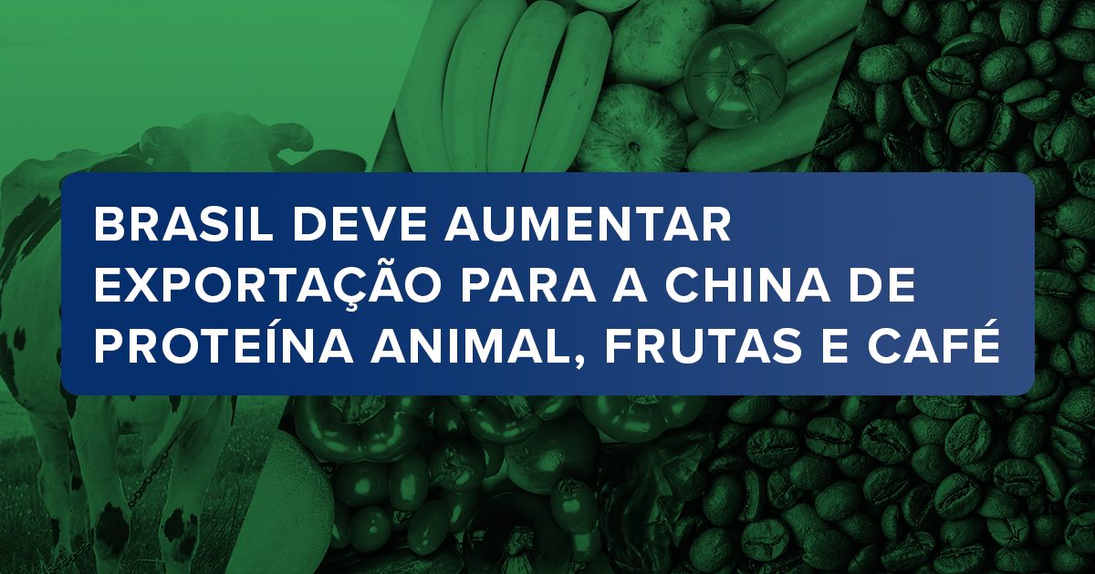 Brasil deve aumentar exportação para a China de proteína animal, frutas e café
